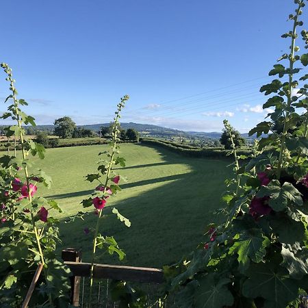 Betula Views Studio Newent Exterior foto